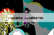 wpk辅助挂（wpk辅助挂下载）