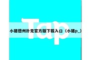 小猪德州扑克官方版下载入口（小猪p_）