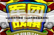 wpk软件作弊挂（wpk作弊挂是真的吗）