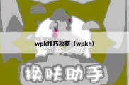 wpk技巧攻略（wpkh）