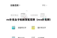 ev扑克台子机制发冤家牌（eva扑克牌）