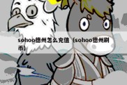 sohoo德州怎么充值（sohoo德州刷币）